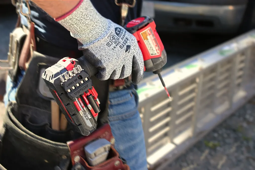 IMG_4747 vibrant.webp